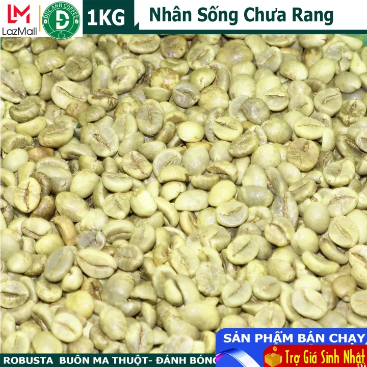 1kg cafe nhân sống chưa rang Robusta Buôn Ma Thuột - sàng lọc kỹ - sản phẩm của Cà phê Đức Anh DUC ANH COFEE - cà phê nhân sống300.000